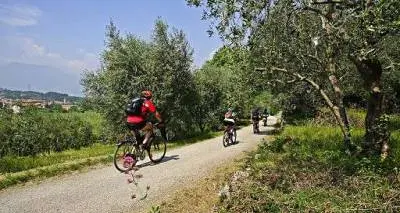 Ciclabilità, Bolzano svetta nella classifica di Legambiente
