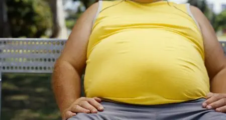Cannella ogni giorno contro la dieta «grassa»