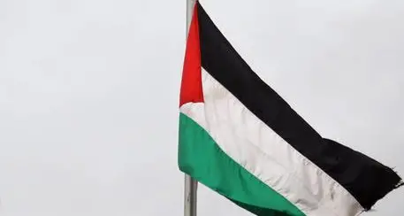 «Onu issi bandiere Palestina e Vaticano»
