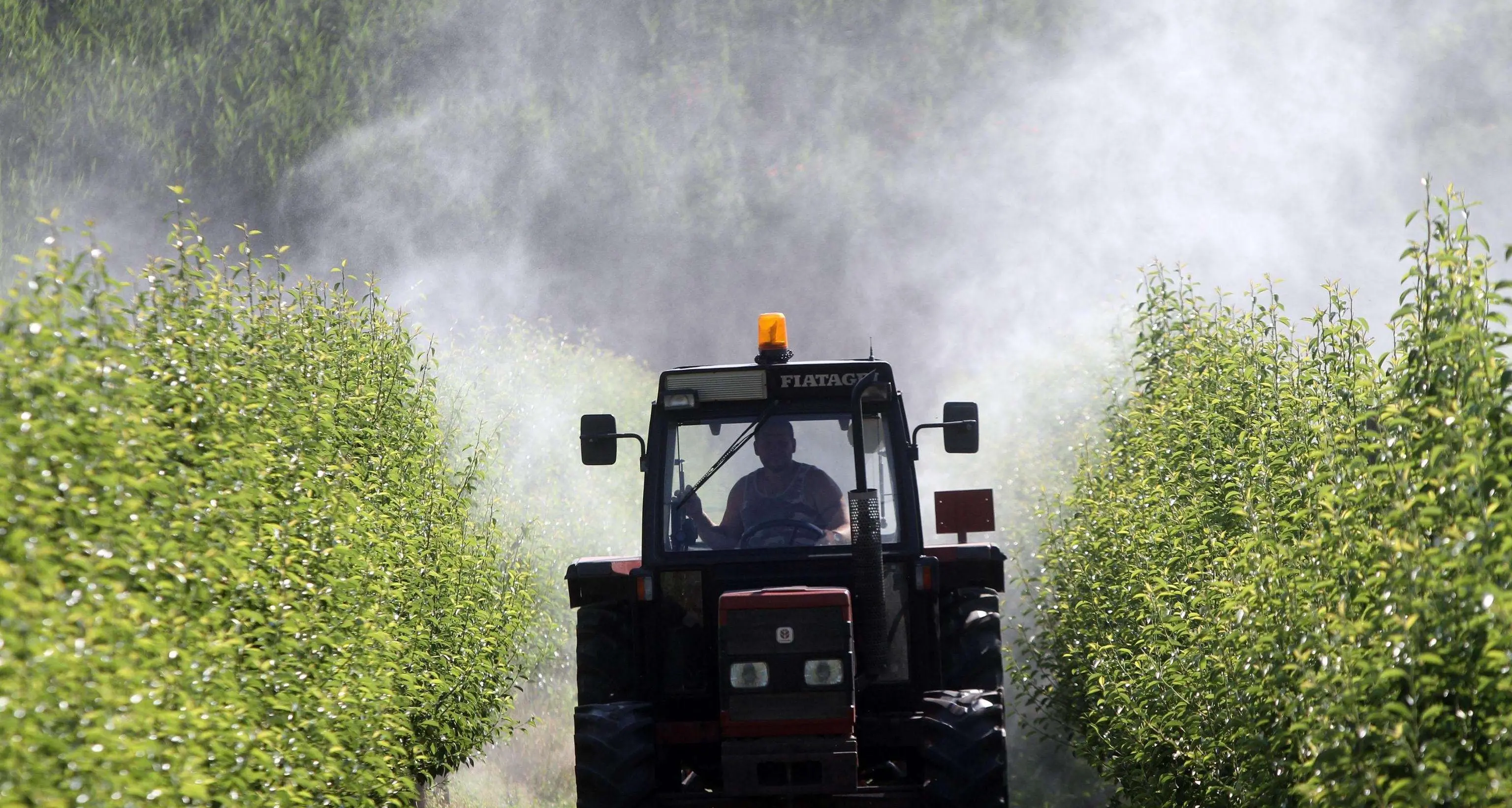 Protocollo sui pesticidi, la Uil: «Servono i fatti»