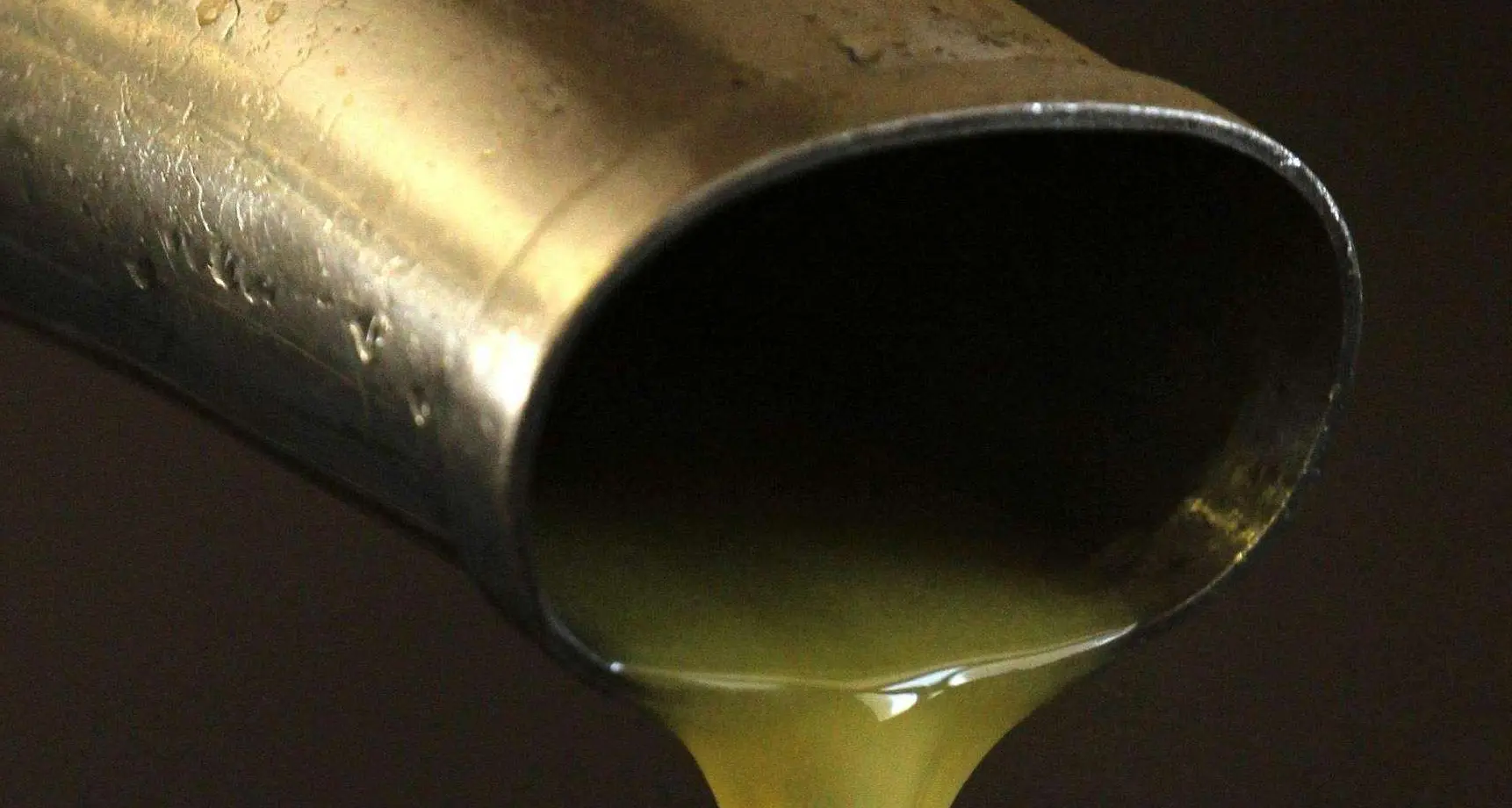 L'olio d'oliva del Garda finirà presto in farmacia
