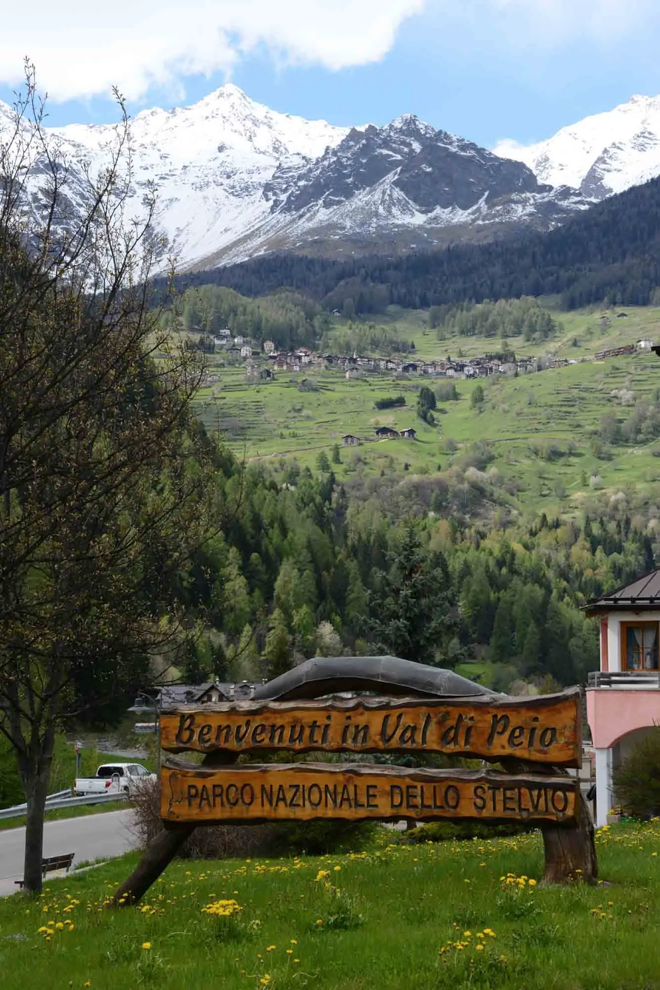 Parco nazionale dello Stelvio: il settore trentino alla Provincia