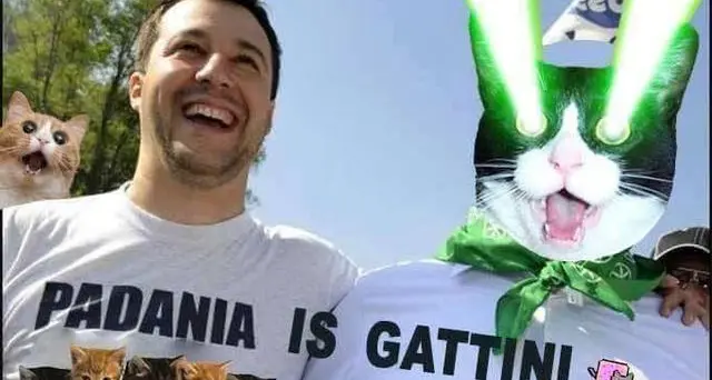 Pagina Facebook di Salvini invasa da foto di gattini