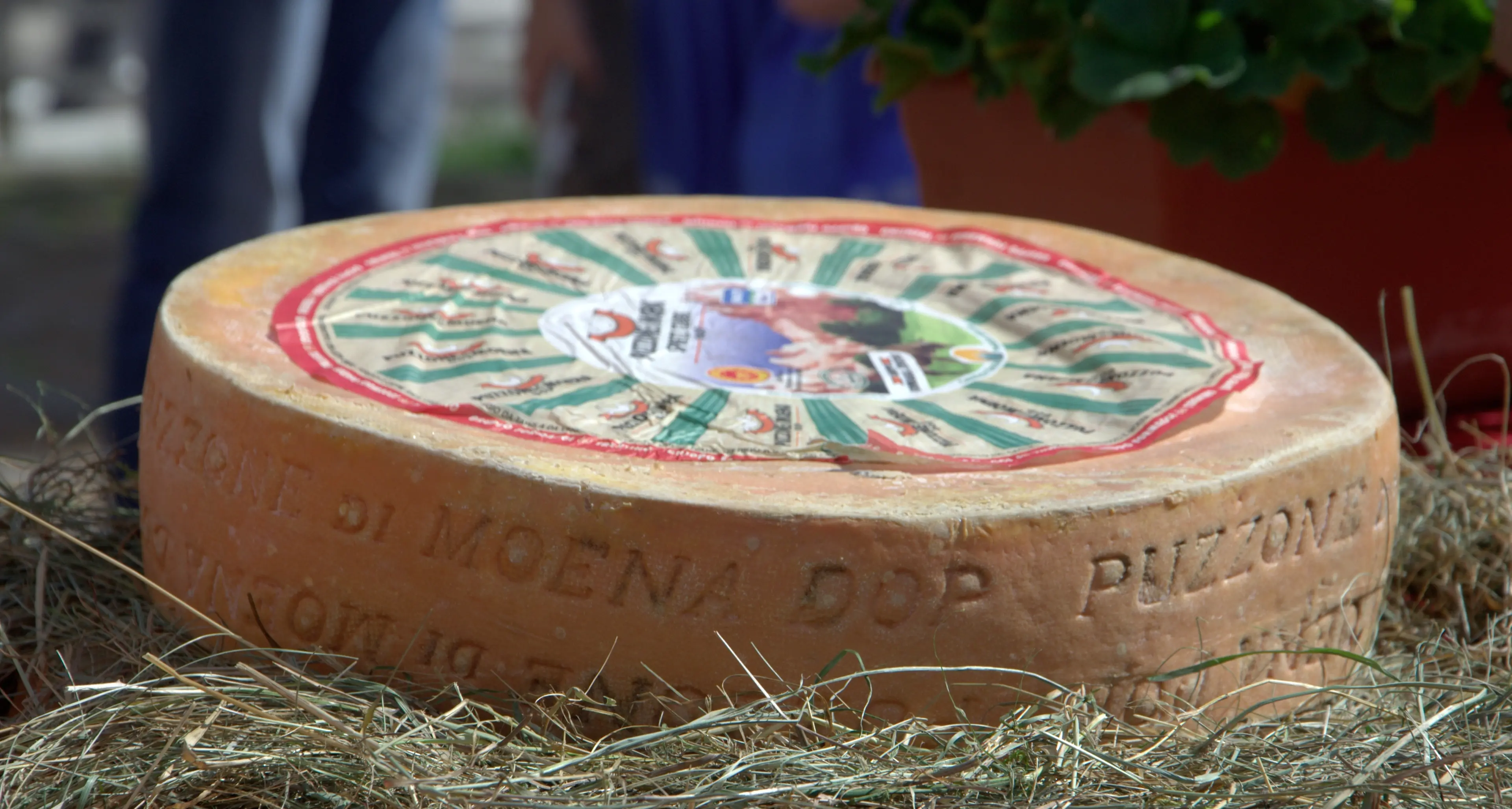 Expo, il Puzzone di Moena svetta nella top ten Coldiretti