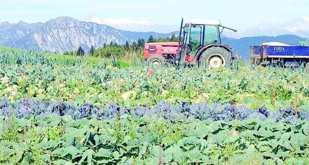 Agricoltura, salgono risorse per investimenti: da 5 a 13 milioni