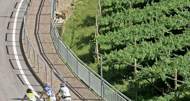 In bici tra i vigneti del Müller Thurgau