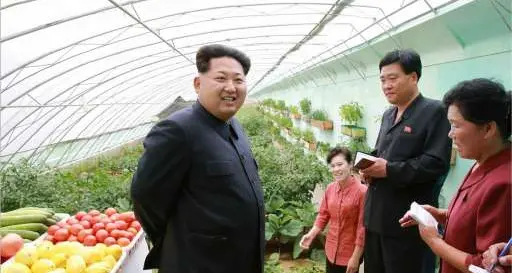 Il nuovo aeroporto è brutto. Kim fa uccidere l'architetto