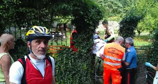 Forestali a caccia dell'aggressore. Masè: «Episodio grave e preoccupante»