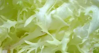 Tar Bolzano, riammesso all'asilo il bambino vegano dimesso d'ufficio