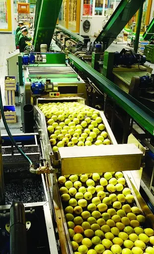 Settore vitivinicolo, il Senato approva la nuova normativa