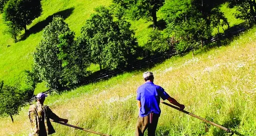 Per lo sfalcio in quota contributi con il contagocce