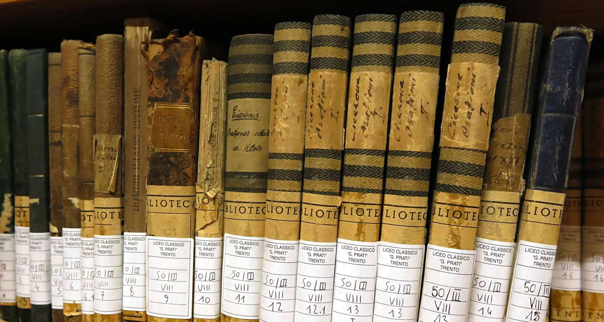 Tomasi: basta biblioteche, ne abbiamo già tredici