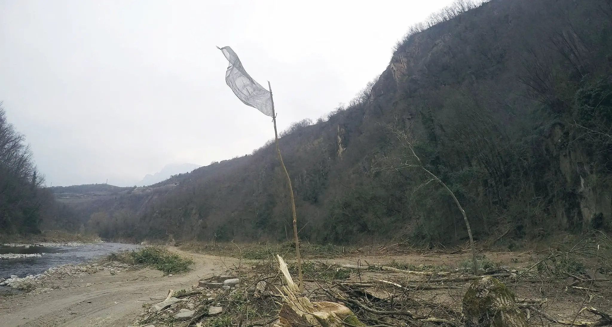 \"Spiaggia\" sull'Avisio, alberi tagliati