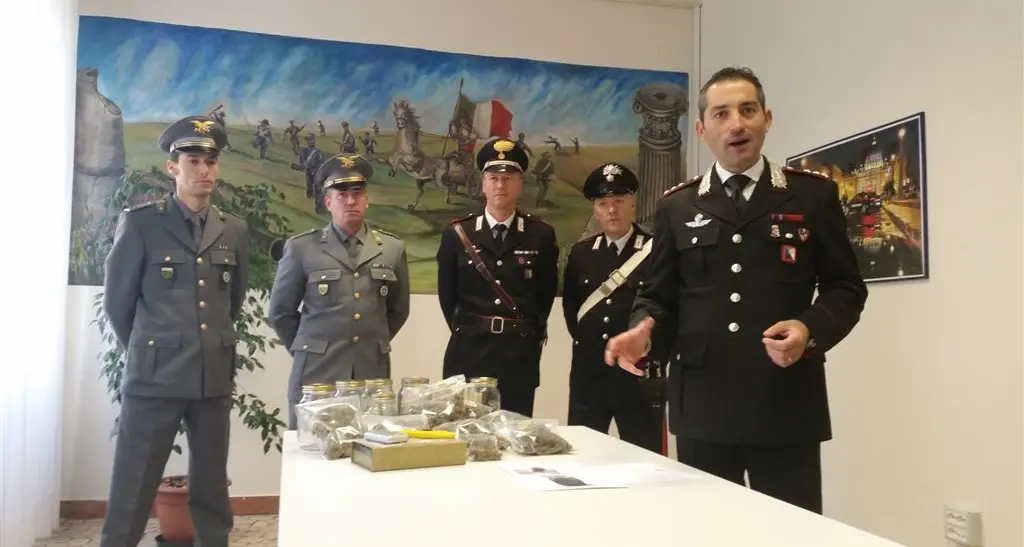 Marjuana conservata nell’alcool: un arresto a Rovereto