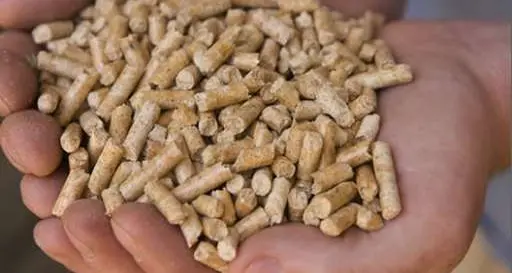 Salasso sul pellet, l'Iva passa dal 10 al 22%. Consumatori furenti