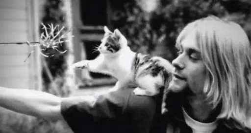 Montage of Heck: Kurt Cobain tra dolcezza, ironia e dramma