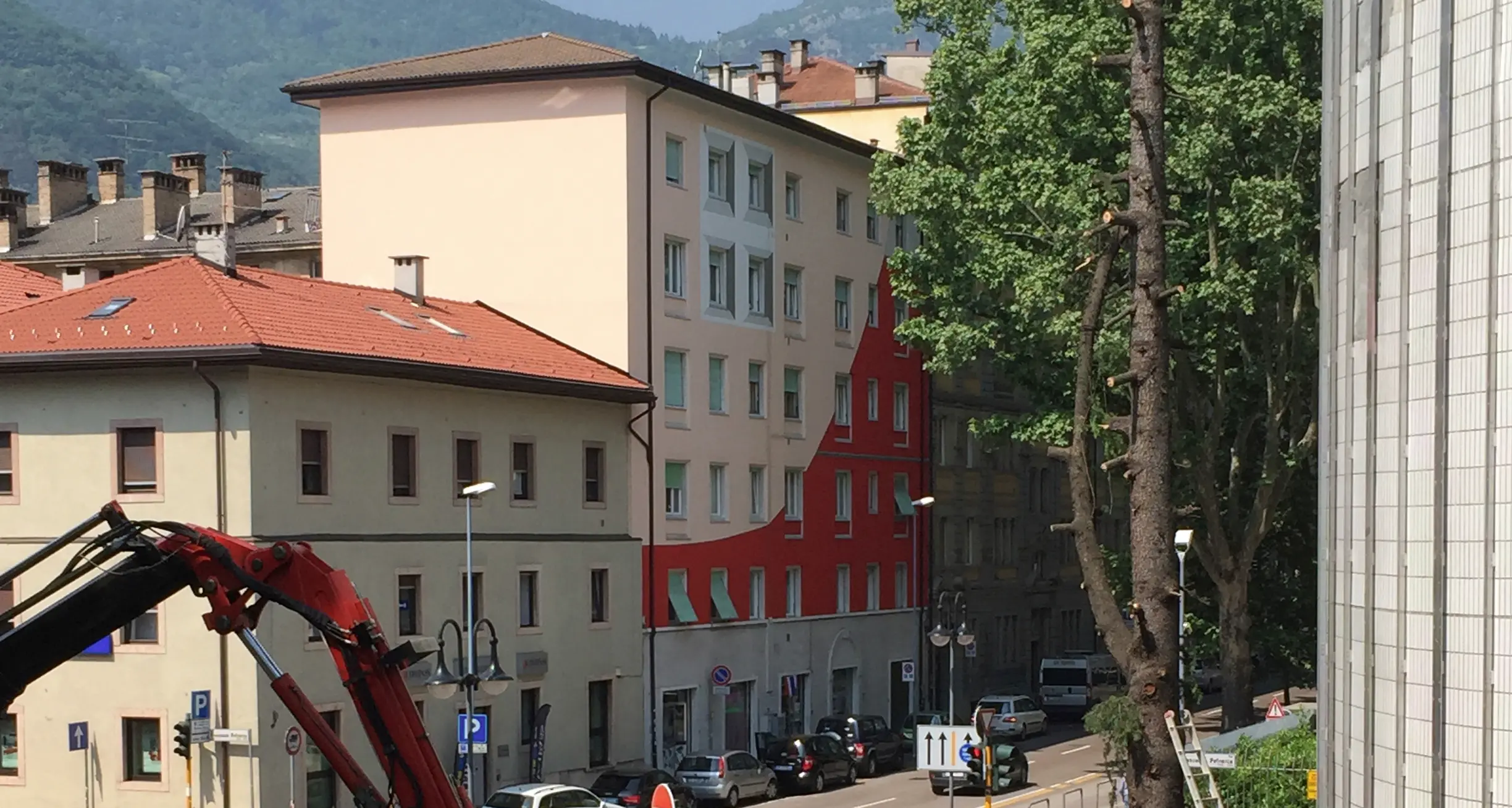 Abbattuti i cedri tra via Romagnosi e via Petrarca
