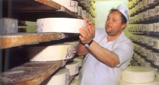 Puzzone Dop, parte campagna per l'importante riconoscimento
