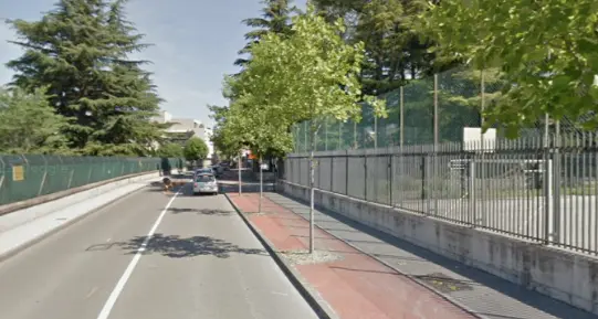 Le piste ciclabili con gli alberi in mezzo