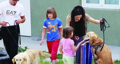 Un canile amico dell'ambiente