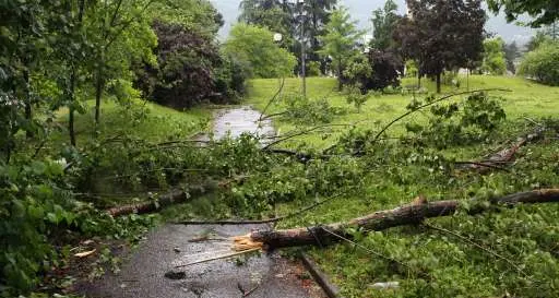 Allarme vento: da oggi raffiche tra 70 e 90 km/h