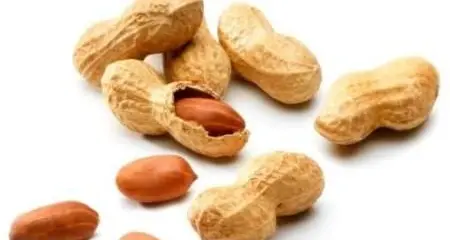 Molti bambini asmatici sensibili agli arachidi ma non lo sanno