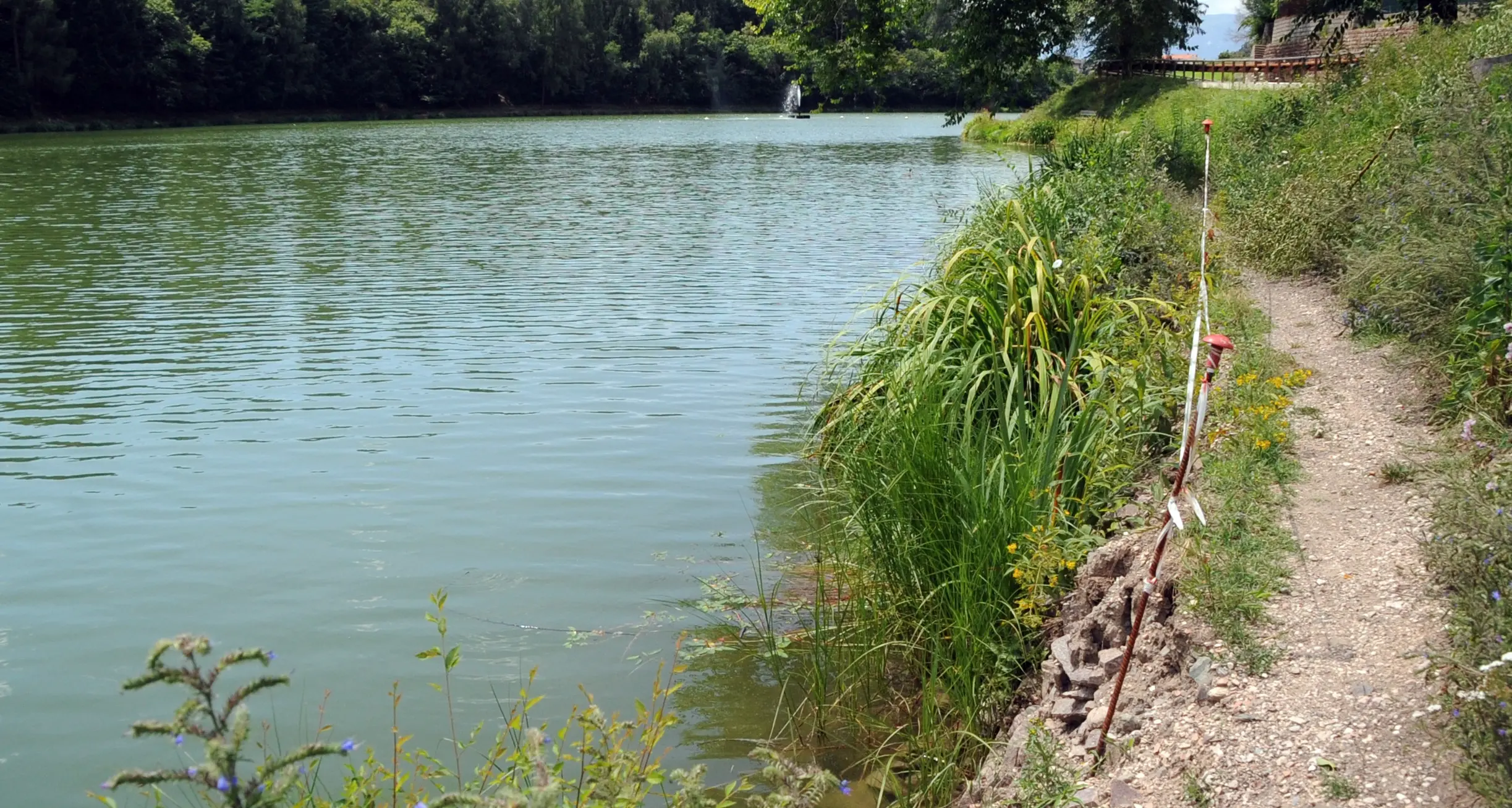 Scivola nel lago di Canzolino Muore un'anziana di 92 anni