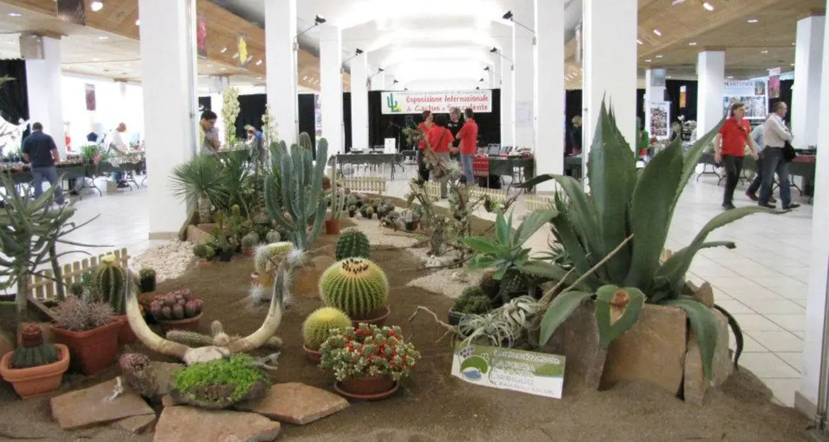 Cactus protagonisti a Trento Fiere, 100 mila piante in mostra