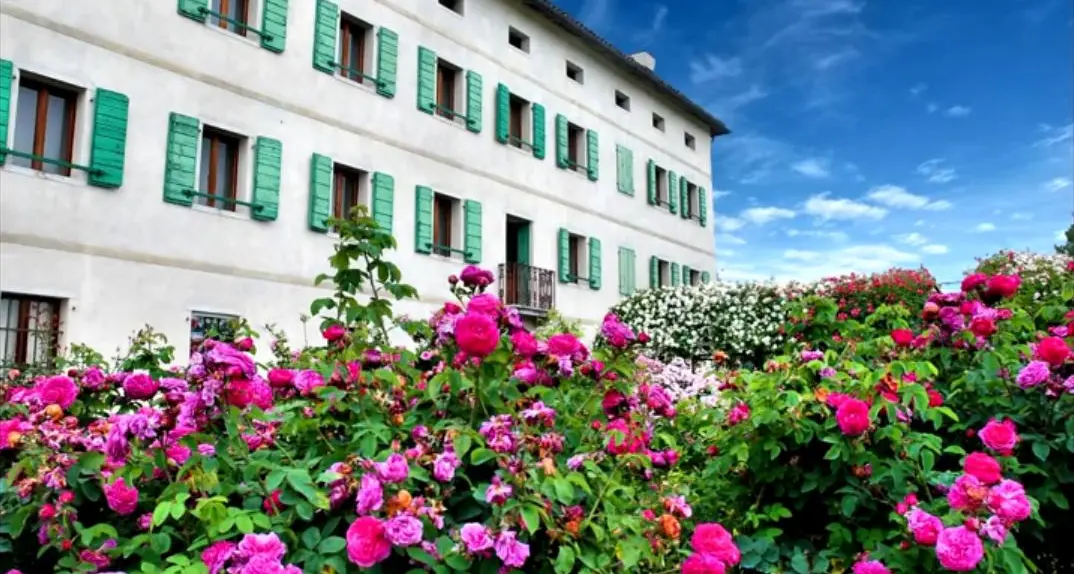 Fioriscono le rose: i percorsi al Museo etnografico bellunese
