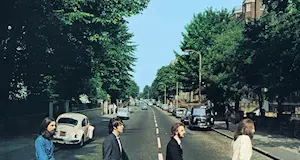 Le anatre di piazza Dante come John, Paul, George e Ringo