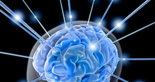 Trovata «sede» di schizofrenia grazie a ricercatori roveretani