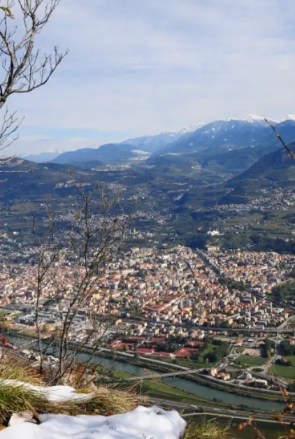 Qualità dei servizi, Trento e Bolzano al top
