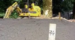 Corpi riesumati intattie riposti nel cartone