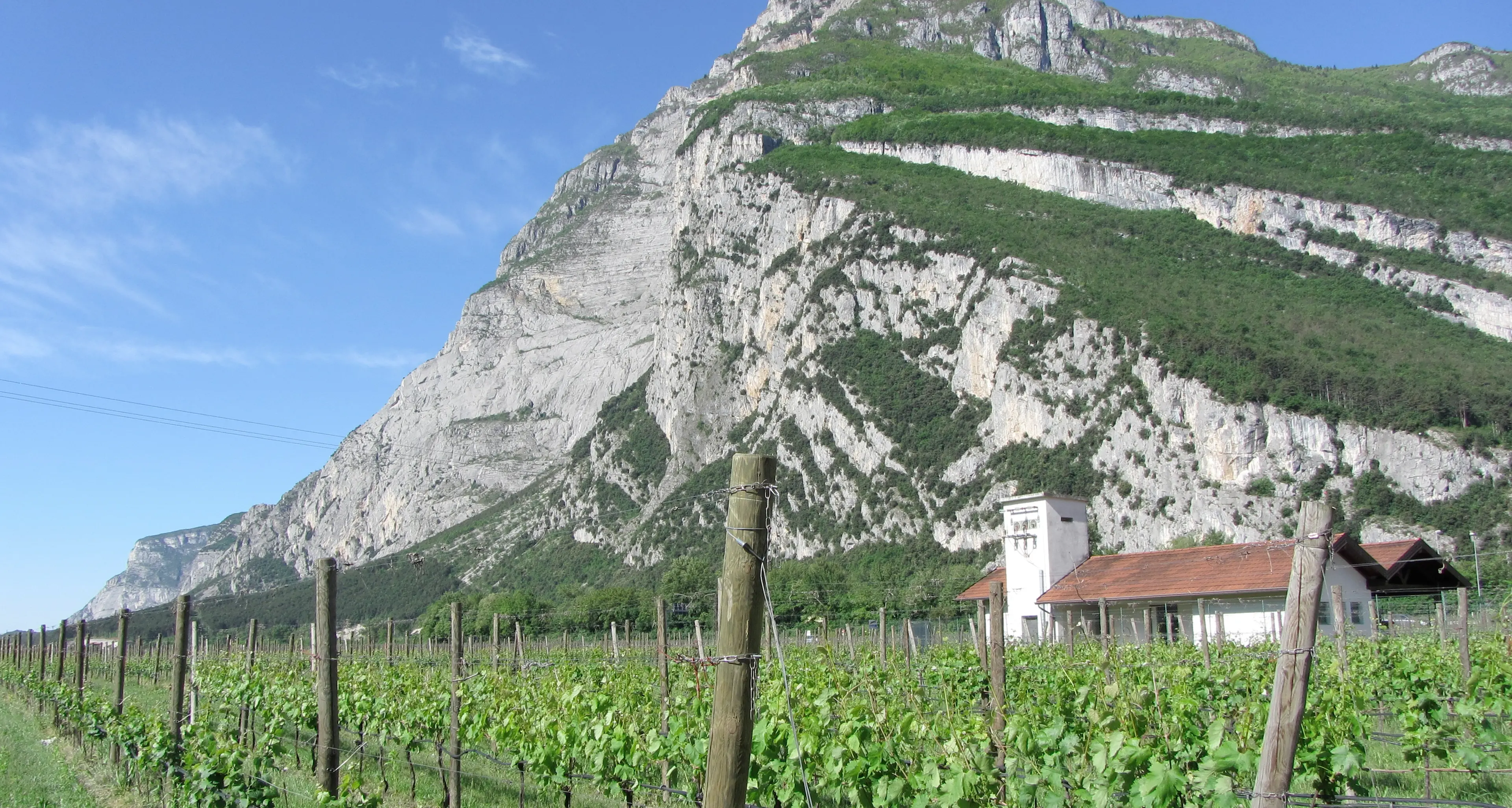 Valle dei Laghi: la sfida del biodistretto