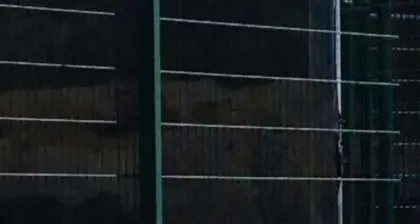 I conigli ora attaccano l'erba del Briamasco
