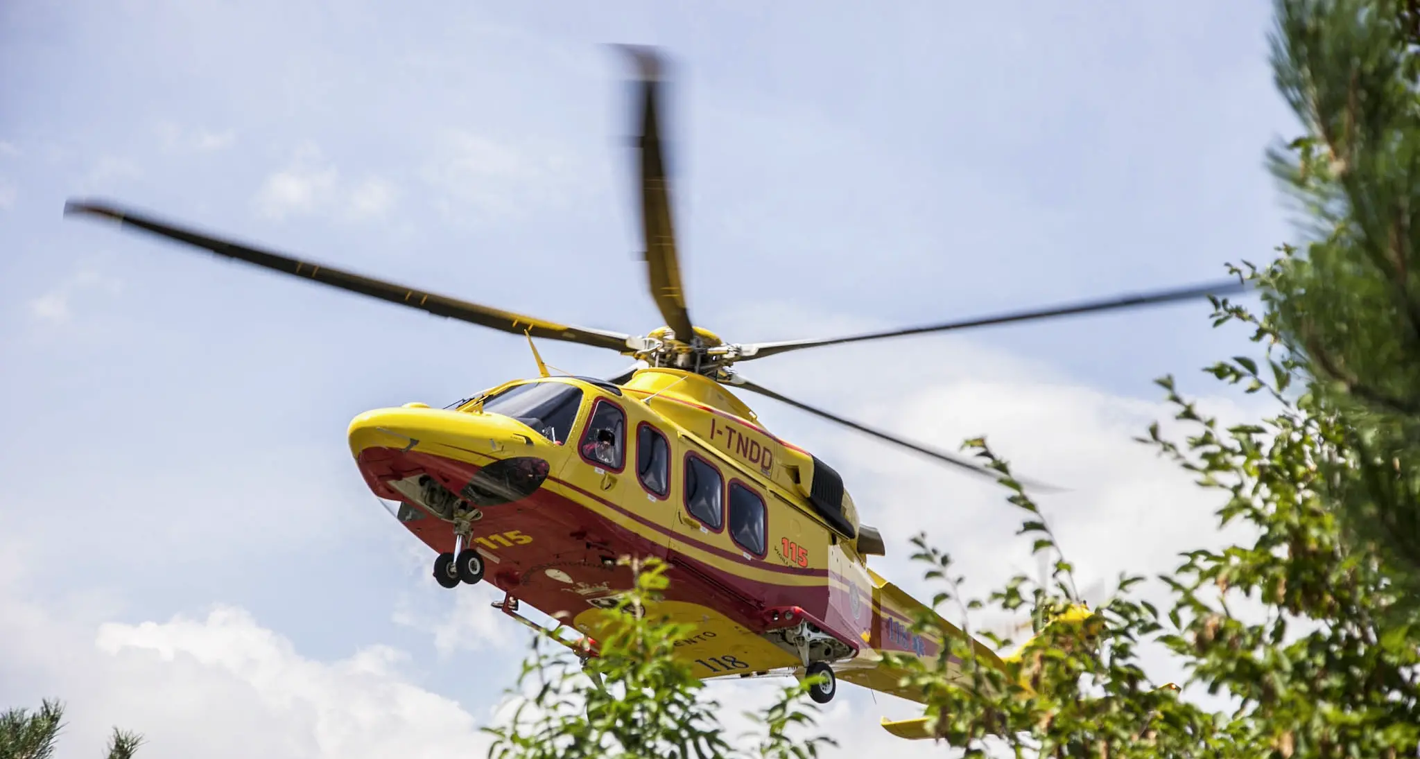 Pozza, punto da vespe Finisce in ospedale