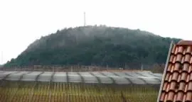 Biodigestore a Lasino, ipotesi abbandonata
