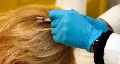 Capelli e piume: l'antenato comune è un rettile