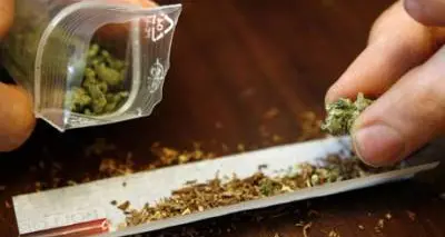 Camionista fermato con 300 grammi di marijuana