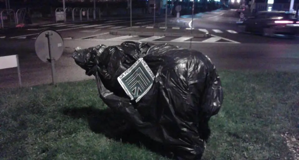 Anche Casapound attacca la Provincia sulla morte di Daniza