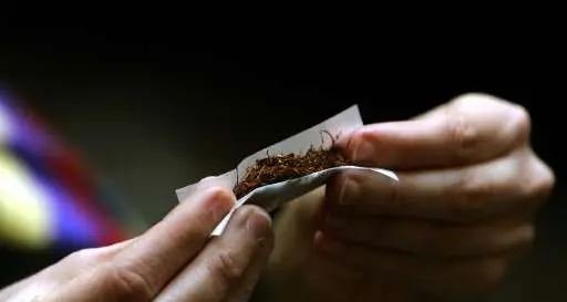 Furto, danneggiamenti e droga. Arrestato un turista belga