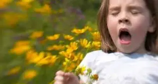 Il Bollettino dei pollini: in calo carpino e betulla ma graminacee verso il picco