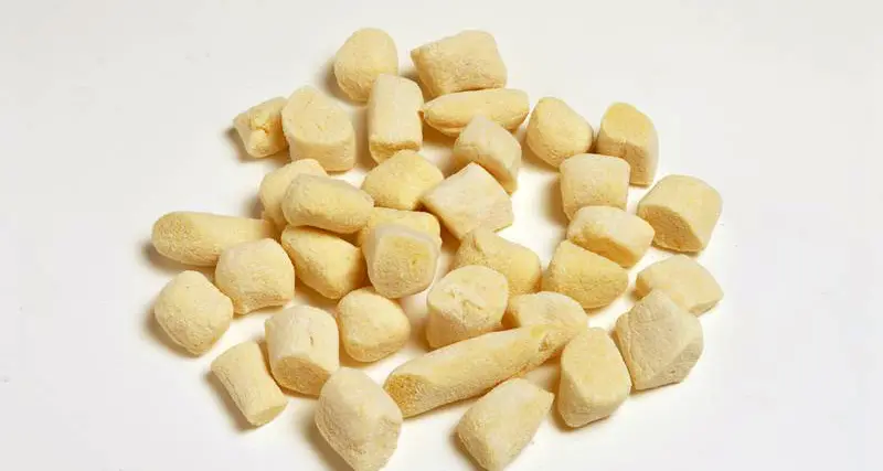 Barco, 6 quintali di gnocchi per il Carnevale. Il video