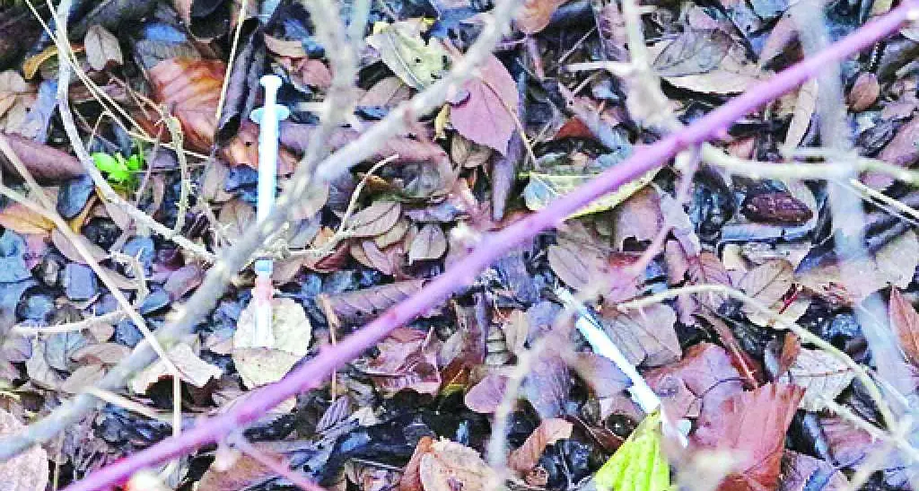 Siringhe vicino al parco giochi
