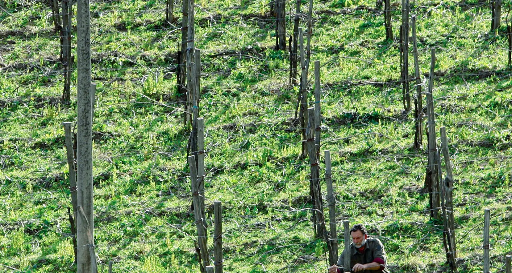 La sfida di Cortina: le «bollicine» più alte d'Europa