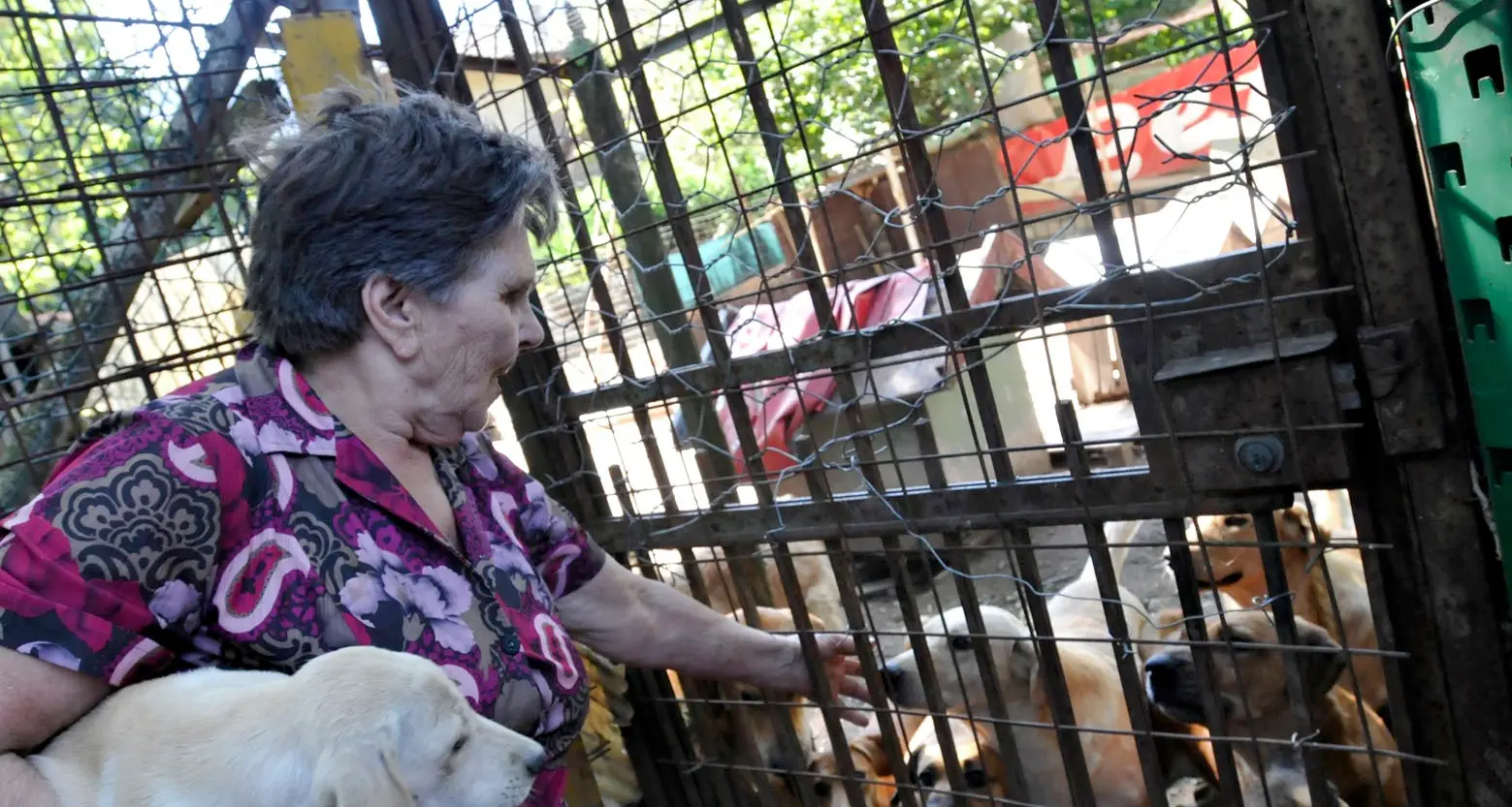 È scomparsa Nella Ruzz, l'amica dei cani randagi