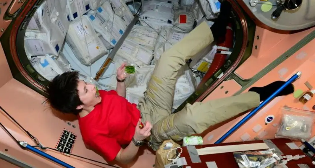 Ecco come AstroSamantha passa le giornate nello spazio
