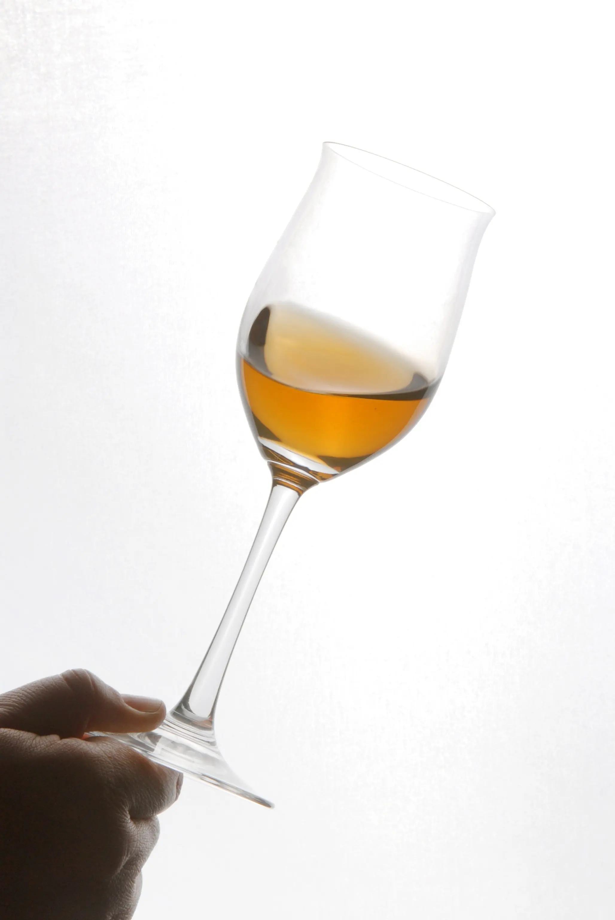 Vin Santo protagonista