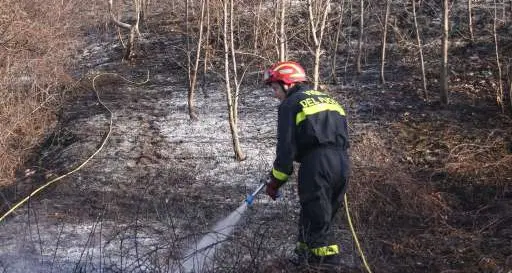 Cavedago, l'albero sulla linea elettrica provoca l'incendio