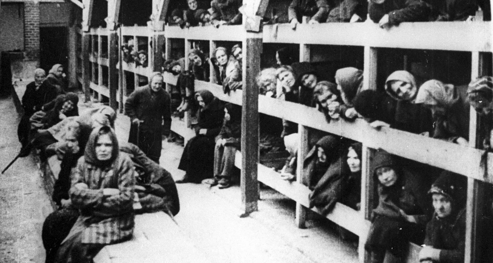 Lo storico Biasiori: «Ricordare l'Olocausto è fondamentale ma non basta Bisogna capirlo perché non si ripeta»